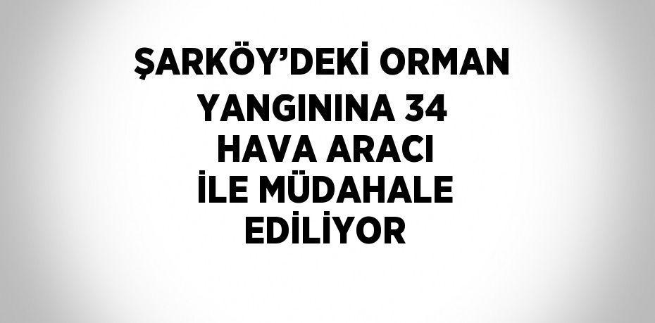 ŞARKÖY’DEKİ ORMAN YANGININA 34 HAVA ARACI İLE MÜDAHALE EDİLİYOR