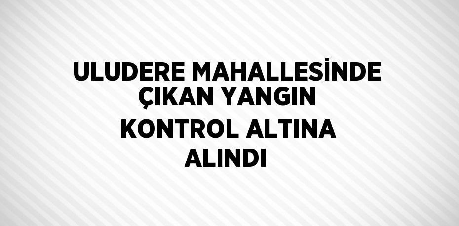 ULUDERE MAHALLESİNDE ÇIKAN YANGIN KONTROL ALTINA ALINDI
