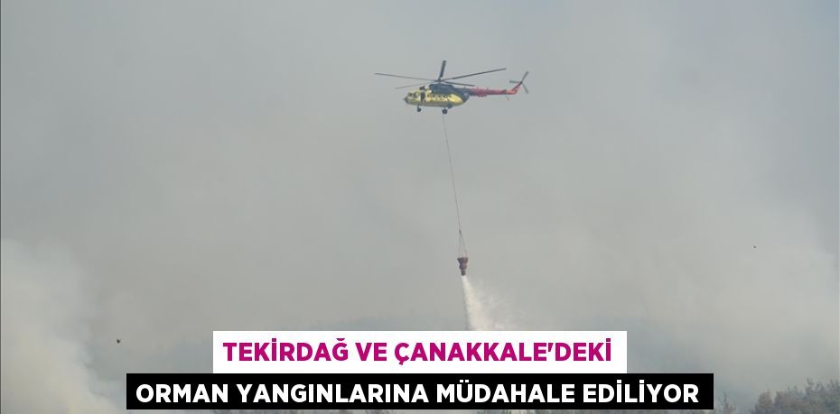 TEKİRDAĞ VE ÇANAKKALE'DEKİ ORMAN YANGINLARINA MÜDAHALE EDİLİYOR
