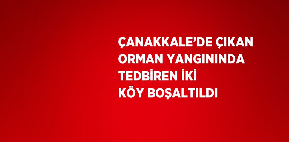 ÇANAKKALE’DE ÇIKAN ORMAN YANGININDA TEDBİREN İKİ KÖY BOŞALTILDI