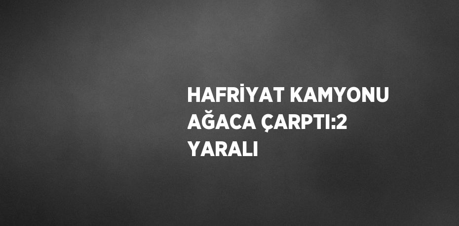 HAFRİYAT KAMYONU AĞACA ÇARPTI:2 YARALI