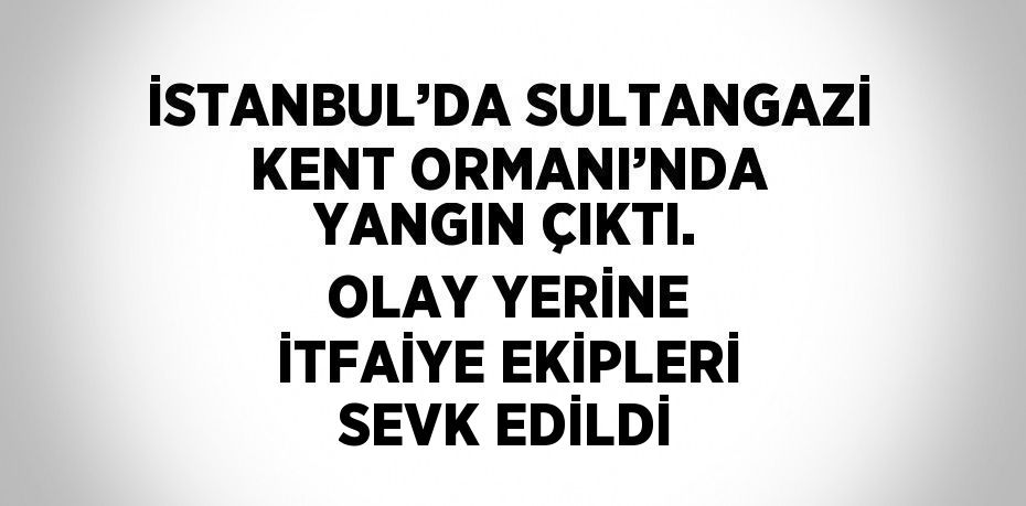 İSTANBUL’DA SULTANGAZİ KENT ORMANI’NDA YANGIN ÇIKTI. OLAY YERİNE İTFAİYE EKİPLERİ SEVK EDİLDİ