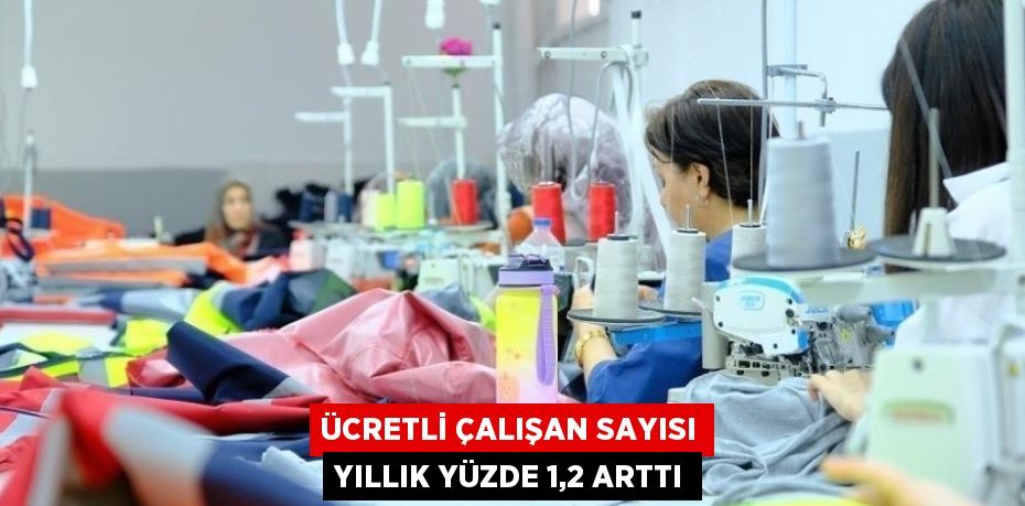 ÜCRETLİ ÇALIŞAN SAYISI YILLIK YÜZDE 1,2 ARTTI