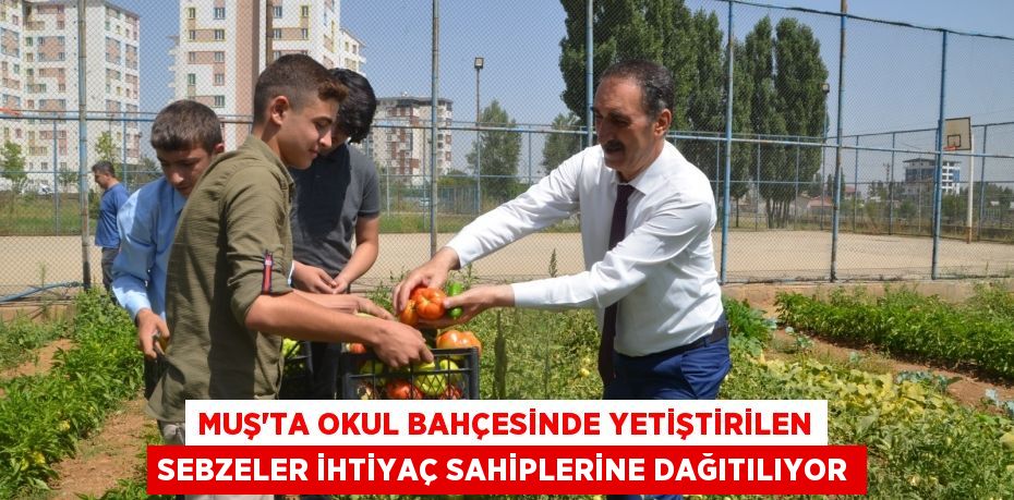 Muş’ta okul bahçesinde yetiştirilen sebzeler ihtiyaç sahiplerine dağıtılıyor