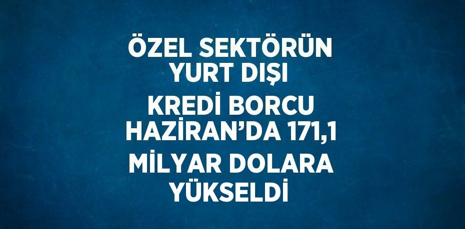 ÖZEL SEKTÖRÜN YURT DIŞI KREDİ BORCU HAZİRAN’DA 171,1 MİLYAR DOLARA YÜKSELDİ