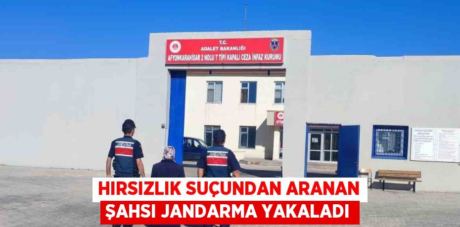 HIRSIZLIK SUÇUNDAN ARANAN ŞAHSI JANDARMA YAKALADI