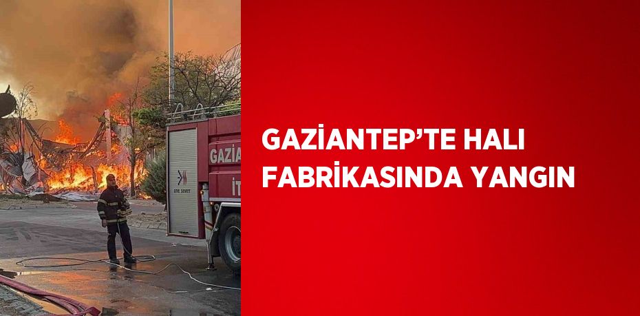 GAZİANTEP’TE HALI FABRİKASINDA YANGIN