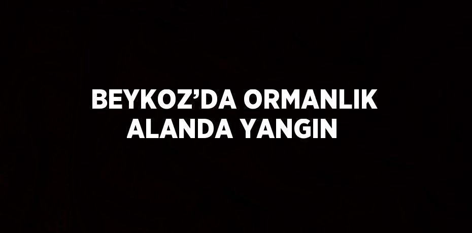 BEYKOZ’DA ORMANLIK ALANDA YANGIN