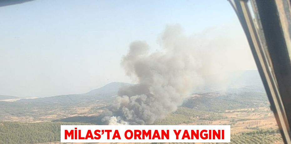 MİLAS’TA ORMAN YANGINI