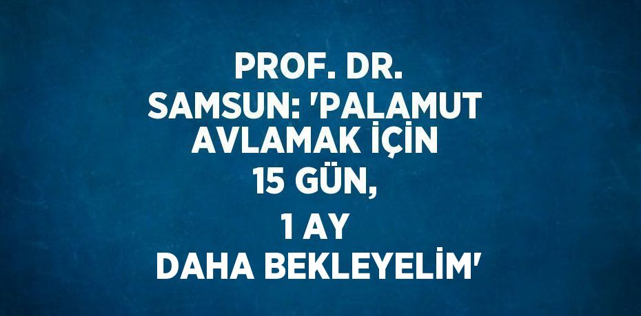 PROF. DR. SAMSUN: 'PALAMUT AVLAMAK İÇİN 15 GÜN, 1 AY DAHA BEKLEYELİM'