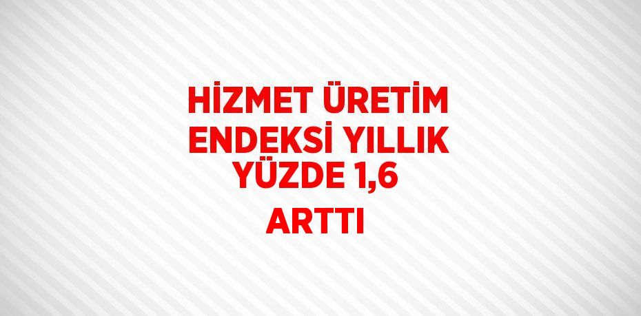 HİZMET ÜRETİM ENDEKSİ YILLIK YÜZDE 1,6 ARTTI