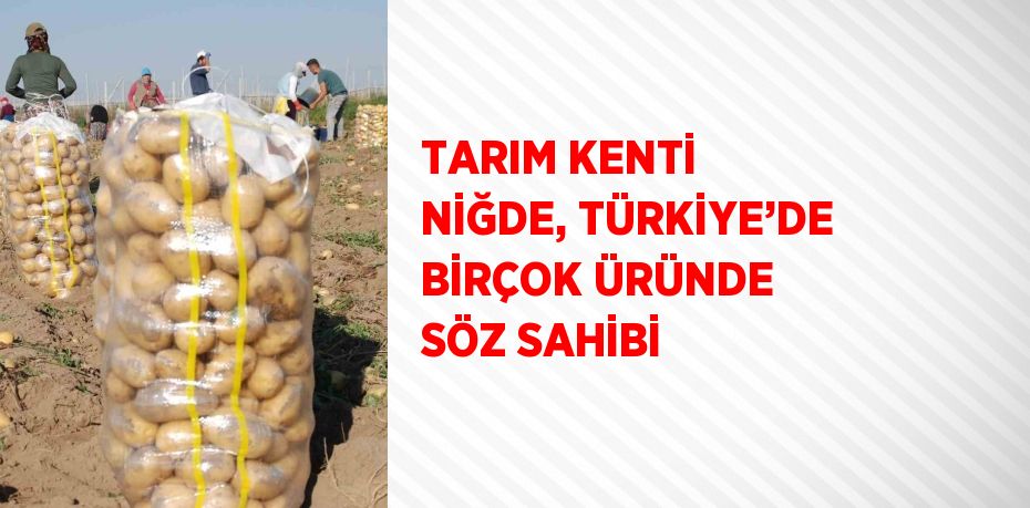 TARIM KENTİ NİĞDE, TÜRKİYE’DE BİRÇOK ÜRÜNDE SÖZ SAHİBİ