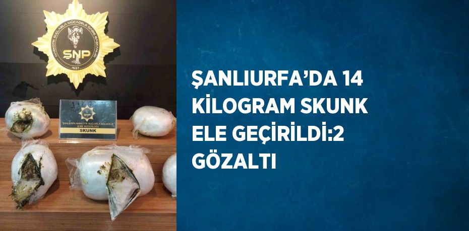 ŞANLIURFA’DA 14 KİLOGRAM SKUNK ELE GEÇİRİLDİ:2 GÖZALTI