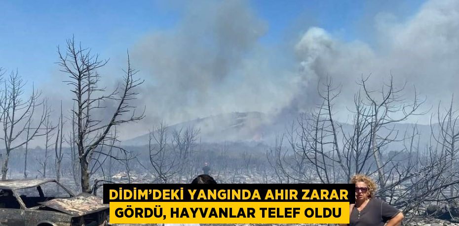 DİDİM’DEKİ YANGINDA AHIR ZARAR GÖRDÜ, HAYVANLAR TELEF OLDU