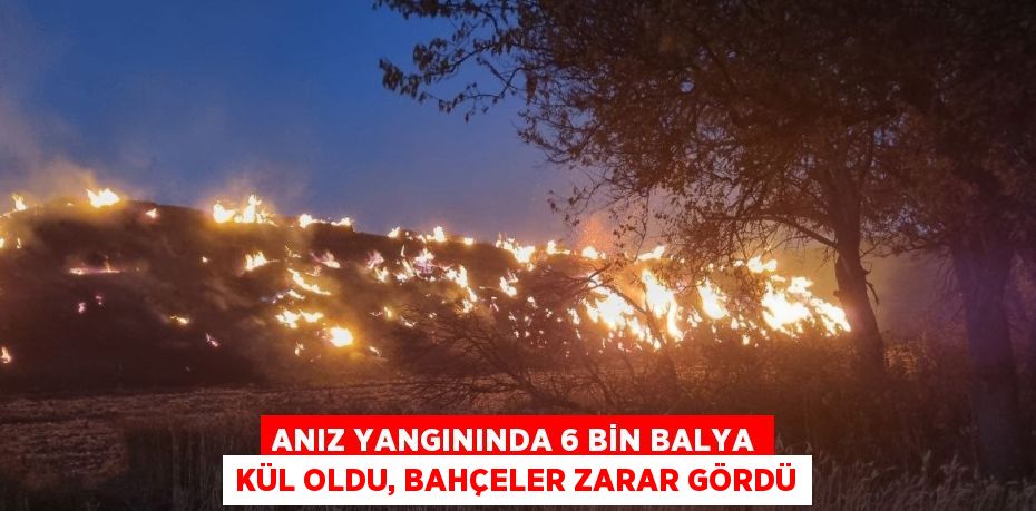 ANIZ YANGININDA 6 BİN BALYA KÜL OLDU, BAHÇELER ZARAR GÖRDÜ