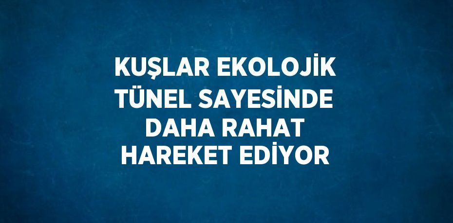 KUŞLAR EKOLOJİK TÜNEL SAYESİNDE DAHA RAHAT HAREKET EDİYOR