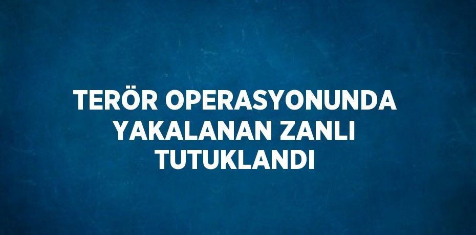 TERÖR OPERASYONUNDA YAKALANAN ZANLI TUTUKLANDI