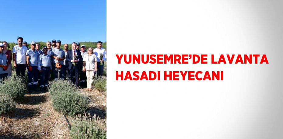 YUNUSEMRE’DE LAVANTA HASADI HEYECANI