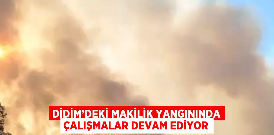 DİDİM’DEKİ MAKİLİK YANGININDA ÇALIŞMALAR DEVAM EDİYOR