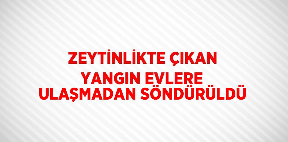 ZEYTİNLİKTE ÇIKAN YANGIN EVLERE ULAŞMADAN SÖNDÜRÜLDÜ