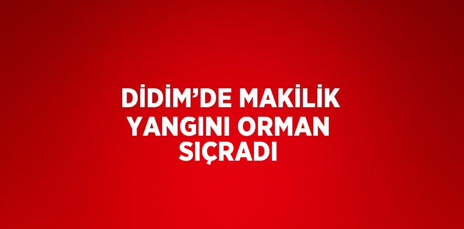 DİDİM’DE MAKİLİK YANGINI ORMAN SIÇRADI