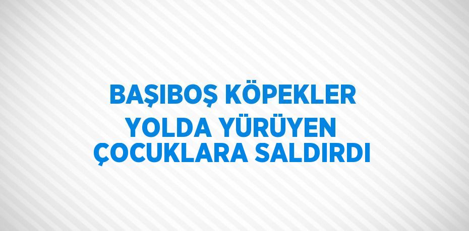 BAŞIBOŞ KÖPEKLER YOLDA YÜRÜYEN ÇOCUKLARA SALDIRDI