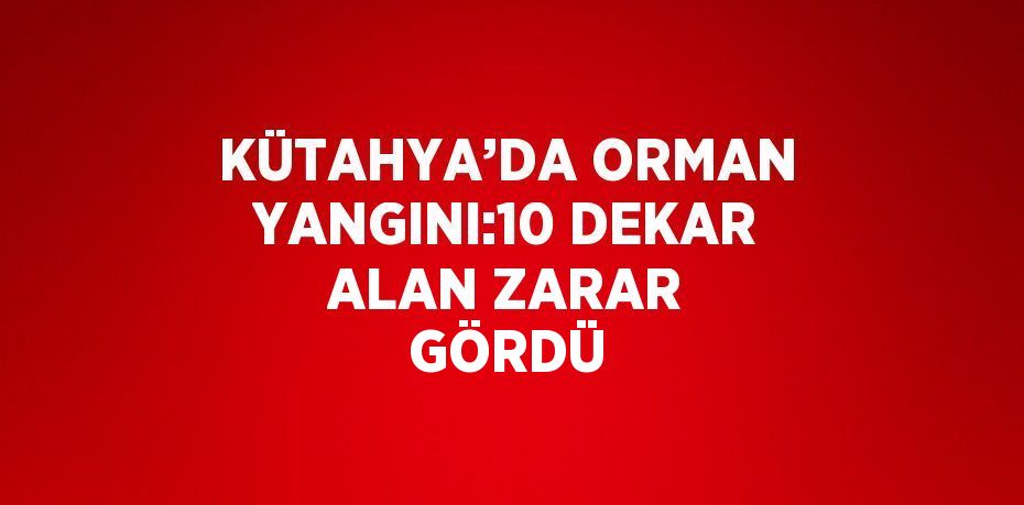 KÜTAHYA’DA ORMAN YANGINI:10 DEKAR ALAN ZARAR GÖRDÜ