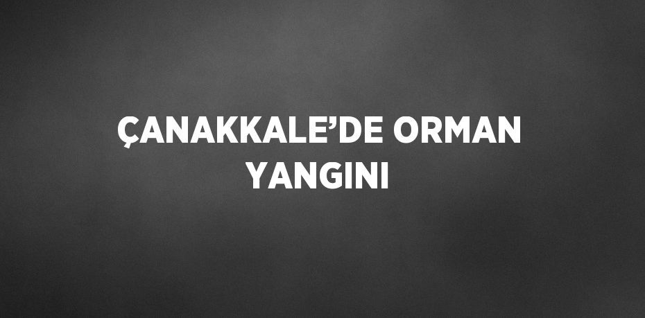 ÇANAKKALE’DE ORMAN YANGINI