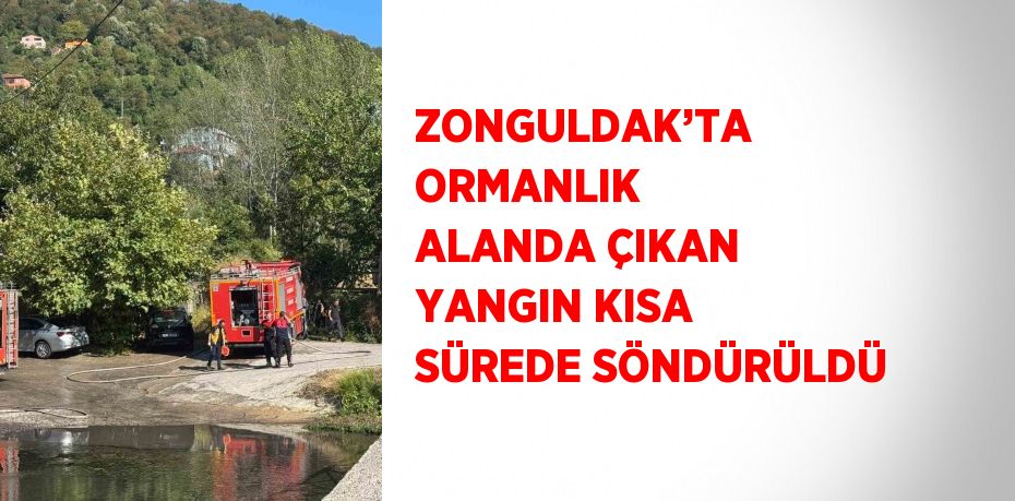 ZONGULDAK’TA ORMANLIK ALANDA ÇIKAN YANGIN KISA SÜREDE SÖNDÜRÜLDÜ