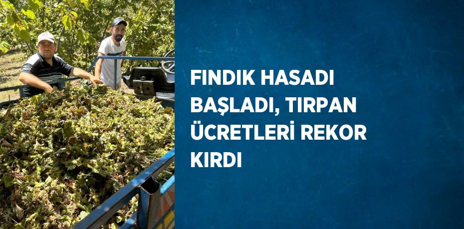 FINDIK HASADI BAŞLADI, TIRPAN ÜCRETLERİ REKOR KIRDI