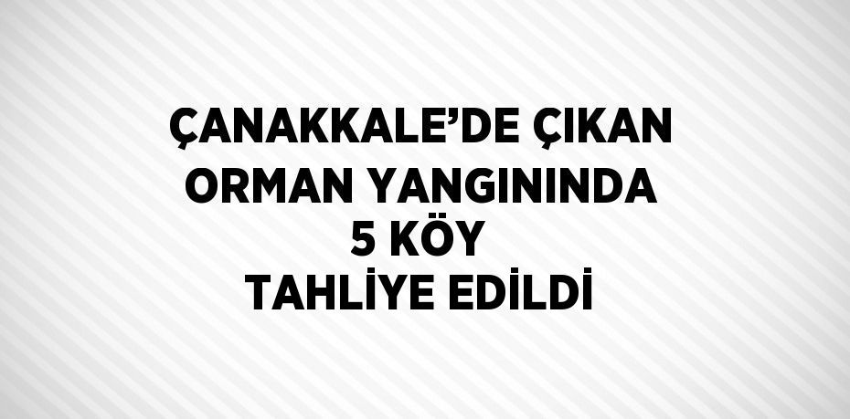 ÇANAKKALE’DE ÇIKAN ORMAN YANGININDA 5 KÖY TAHLİYE EDİLDİ