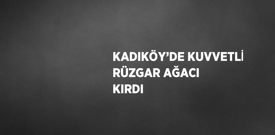 KADIKÖY’DE KUVVETLİ RÜZGAR AĞACI KIRDI
