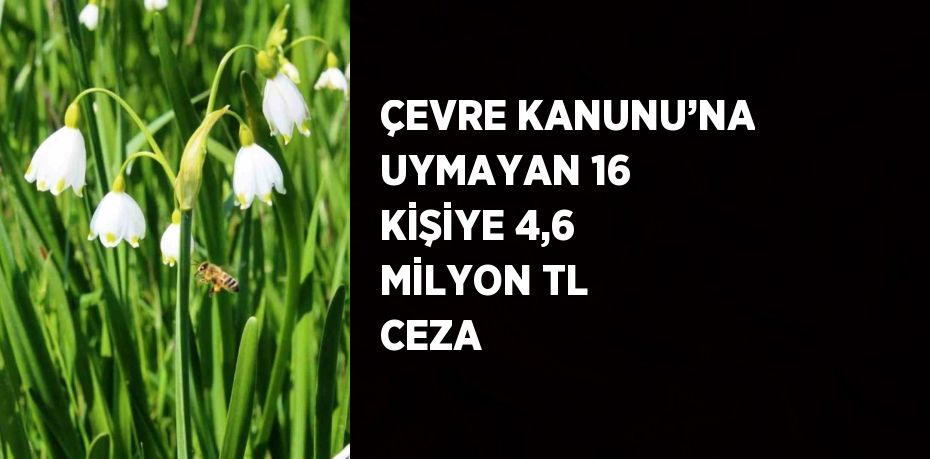 ÇEVRE KANUNU’NA UYMAYAN 16 KİŞİYE 4,6 MİLYON TL CEZA