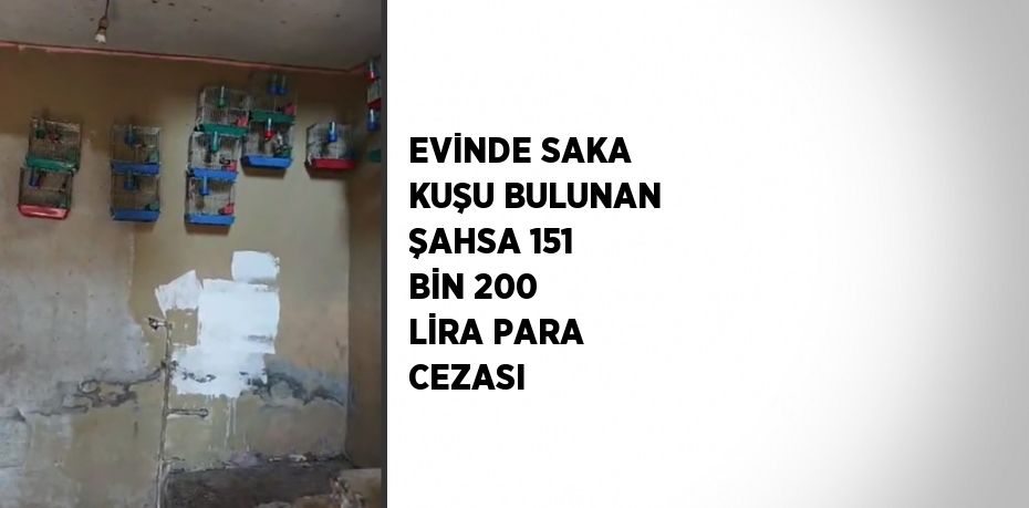 EVİNDE SAKA KUŞU BULUNAN ŞAHSA 151 BİN 200 LİRA PARA CEZASI