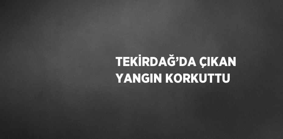 TEKİRDAĞ’DA ÇIKAN YANGIN KORKUTTU
