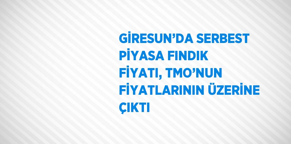 GİRESUN’DA SERBEST PİYASA FINDIK FİYATI, TMO’NUN FİYATLARININ ÜZERİNE ÇIKTI