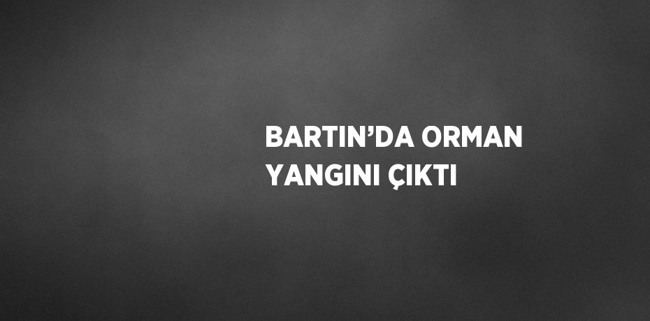 BARTIN’DA ORMAN YANGINI ÇIKTI