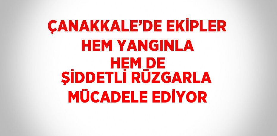 ÇANAKKALE’DE EKİPLER HEM YANGINLA HEM DE ŞİDDETLİ RÜZGARLA MÜCADELE EDİYOR