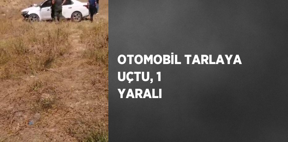 OTOMOBİL TARLAYA UÇTU, 1 YARALI