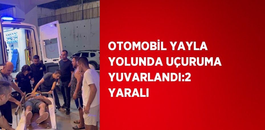 OTOMOBİL YAYLA YOLUNDA UÇURUMA YUVARLANDI:2  YARALI