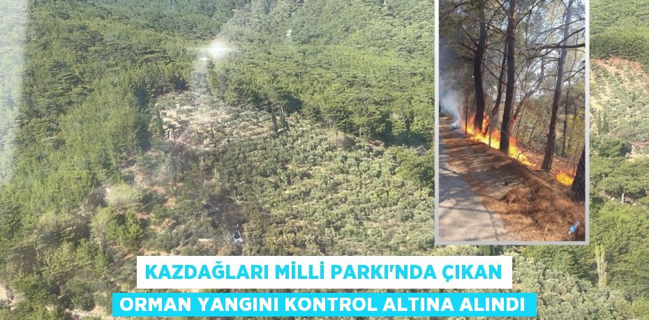 KAZDAĞLARI MİLLİ PARKI'NDA ÇIKAN ORMAN YANGINI KONTROL ALTINA ALINDI