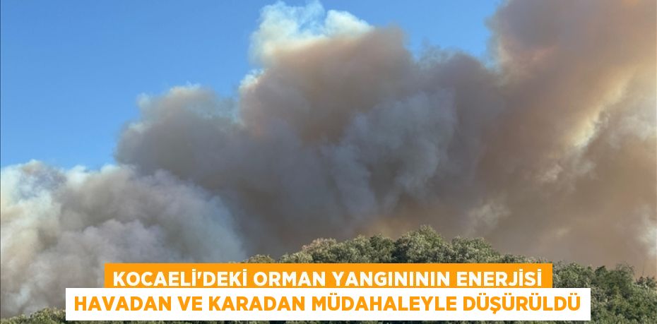Kocaeli'deki orman yangınının enerjisi havadan ve karadan müdahaleyle düşürüldü