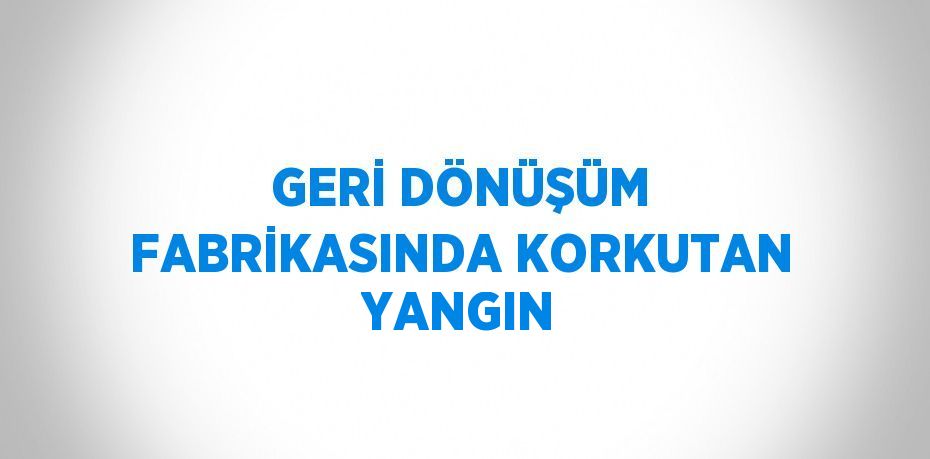 GERİ DÖNÜŞÜM FABRİKASINDA KORKUTAN YANGIN
