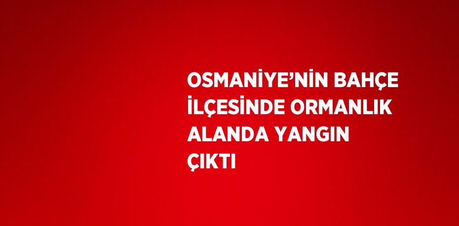 OSMANİYE’NİN BAHÇE İLÇESİNDE ORMANLIK ALANDA YANGIN ÇIKTI