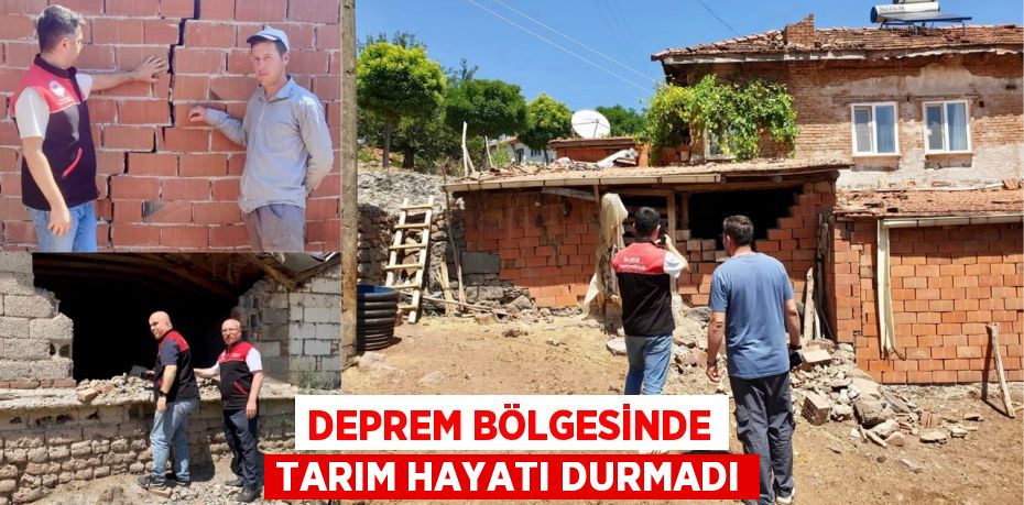 Deprem Bölgesinde Tarım Hayatı Durmadı