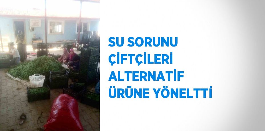 SU SORUNU ÇİFTÇİLERİ ALTERNATİF ÜRÜNE YÖNELTTİ