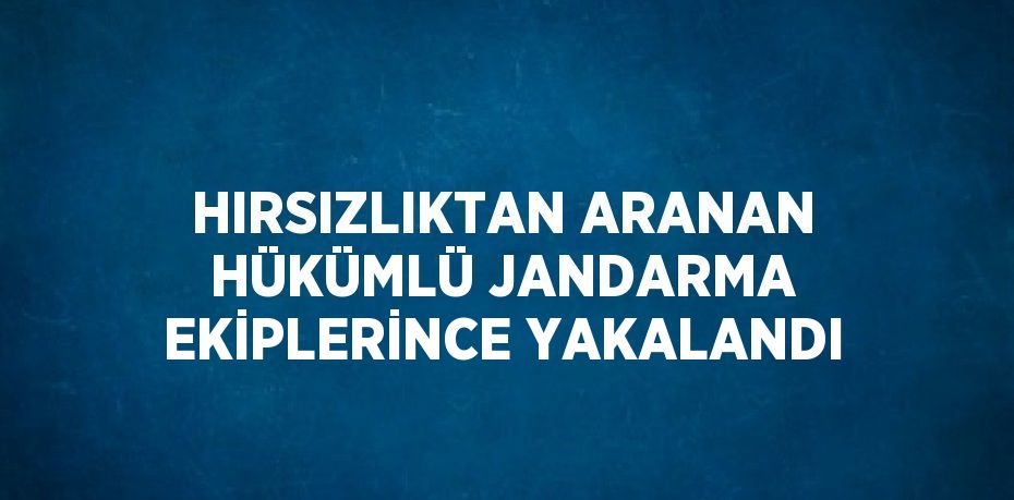 HIRSIZLIKTAN ARANAN HÜKÜMLÜ JANDARMA EKİPLERİNCE YAKALANDI