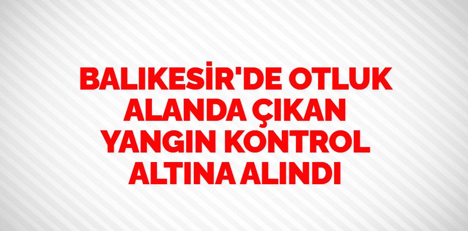 BALIKESİR'DE OTLUK ALANDA ÇIKAN YANGIN KONTROL ALTINA ALINDI