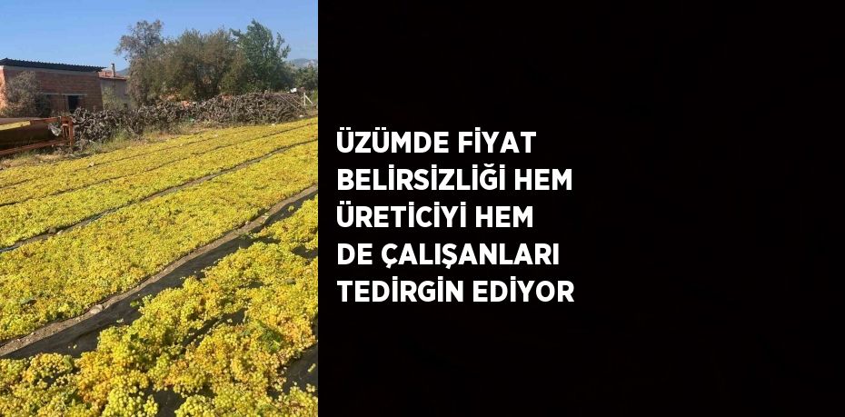 ÜZÜMDE FİYAT BELİRSİZLİĞİ HEM ÜRETİCİYİ HEM DE ÇALIŞANLARI TEDİRGİN EDİYOR