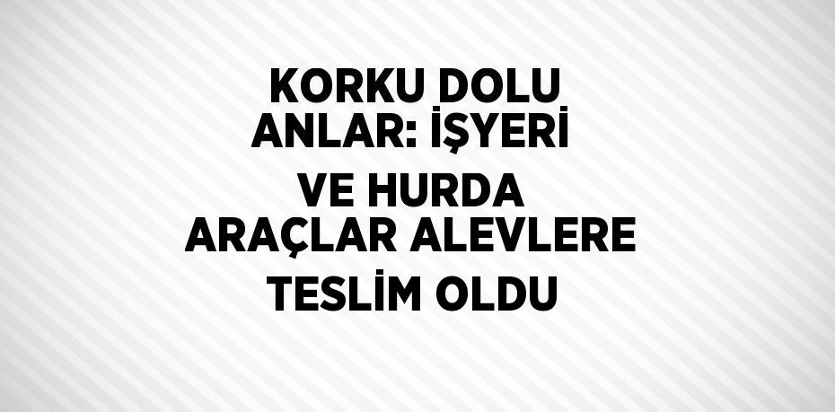 KORKU DOLU ANLAR: İŞYERİ VE HURDA ARAÇLAR ALEVLERE TESLİM OLDU